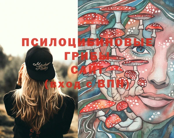 кристаллы Бикин