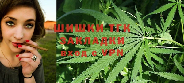 бошки Краснослободск