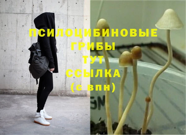 скорость mdpv Козловка