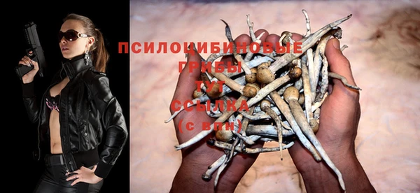 прущий лед Кодинск