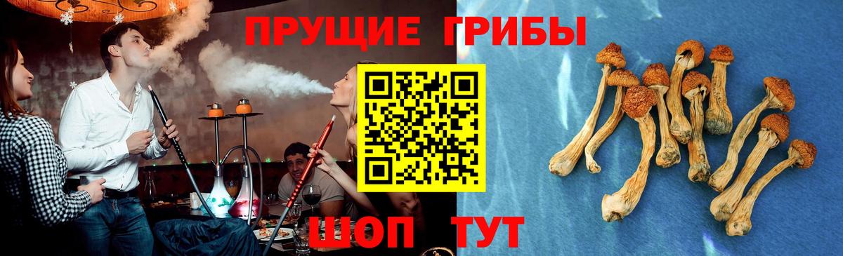 купить наркоту  Вход с VPN  Красноперекопск  Галлюциногенные грибы Psilocybe 